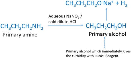 orgaic chemistry practice problems - isomers amine.jpg